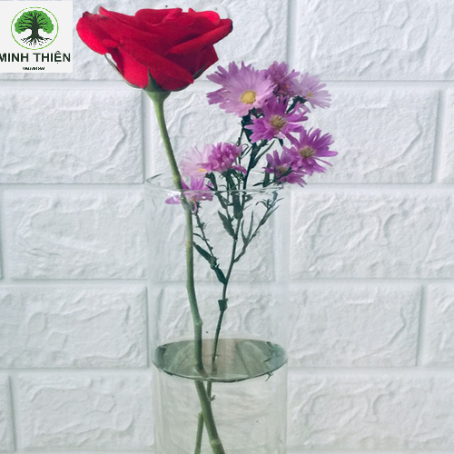 Bình thủy tinh cắm hoa trụ ống 12cm x 30cm