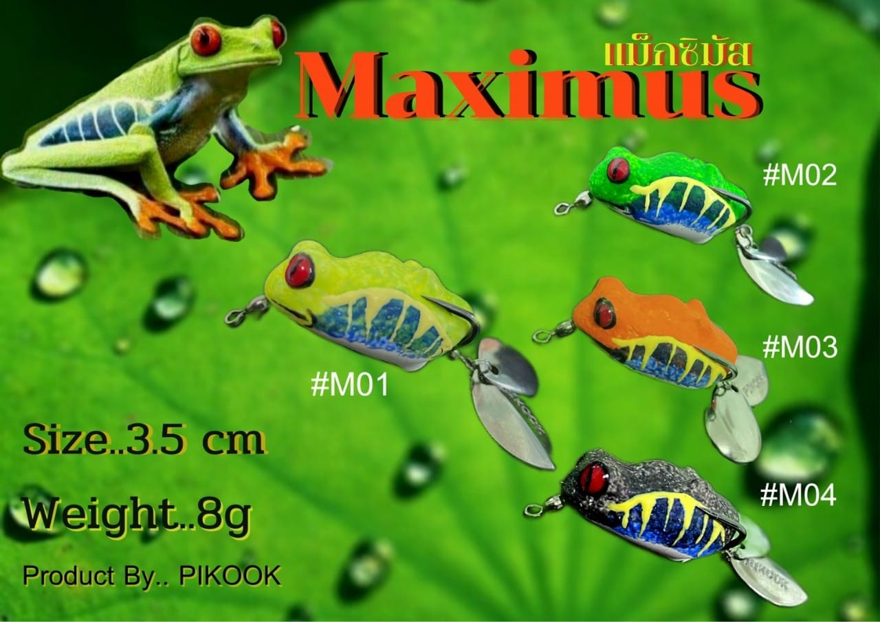Nhái hơi pikook maximus thái lan, lưỡi bkk