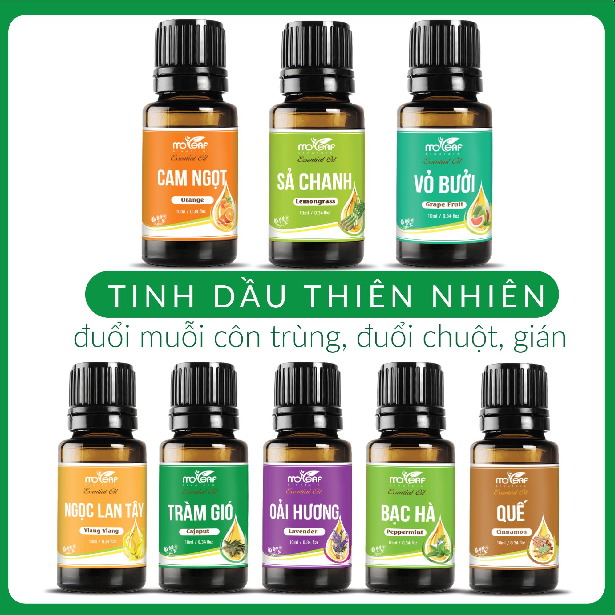 Tinh Dầu SẢ CHANH Moleaf - Lemongrass Đuổi muỗi, đuổi côn trùng, khử mùi, lọc không khí
