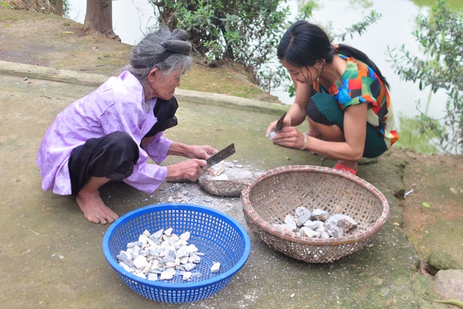 🍒✨ gói 200g ĐẤT NGÓI ĂN - MẦM ĐÁ LẬP THẠCH VĨNH PHÚC (truyện Canh Mầm Đá cụ Trạng Quỳnh tiến Vua là có thật