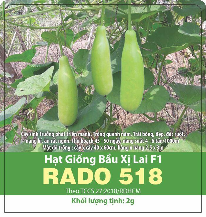 Hạt giống bầu xị lai f1 sai trái
