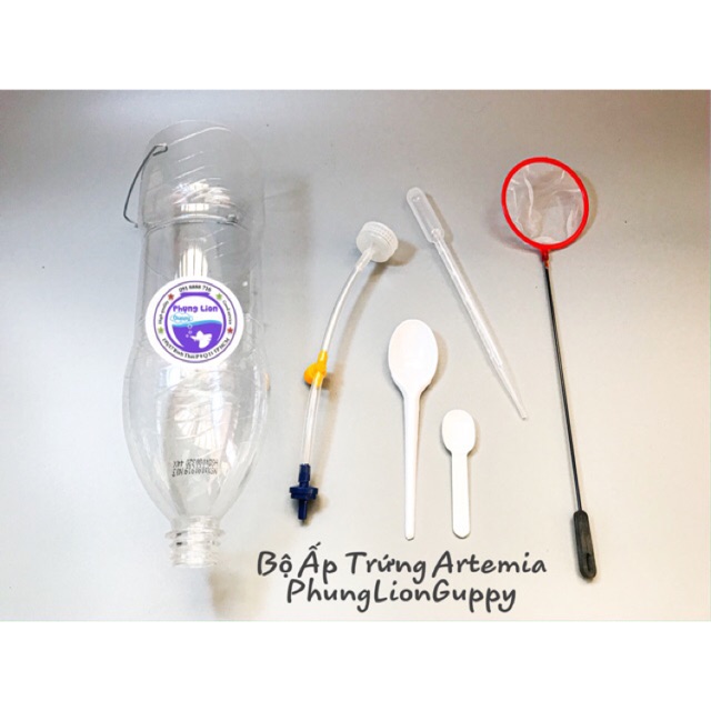 Bộ ấp trứng artemia chuyên dụng