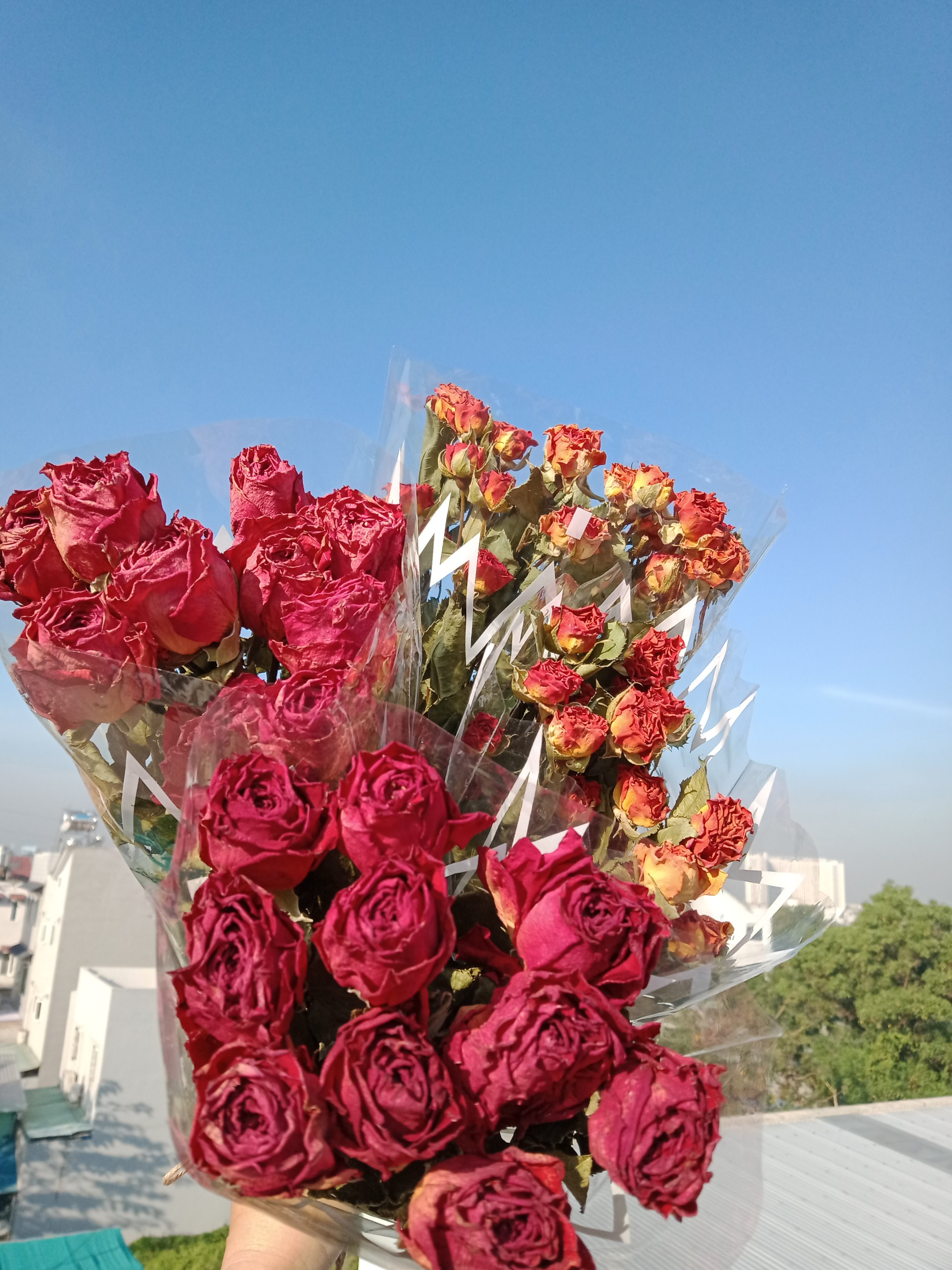 hoa hồng khô - bó 10 bông hồng sấy khô tự nhiên 100%