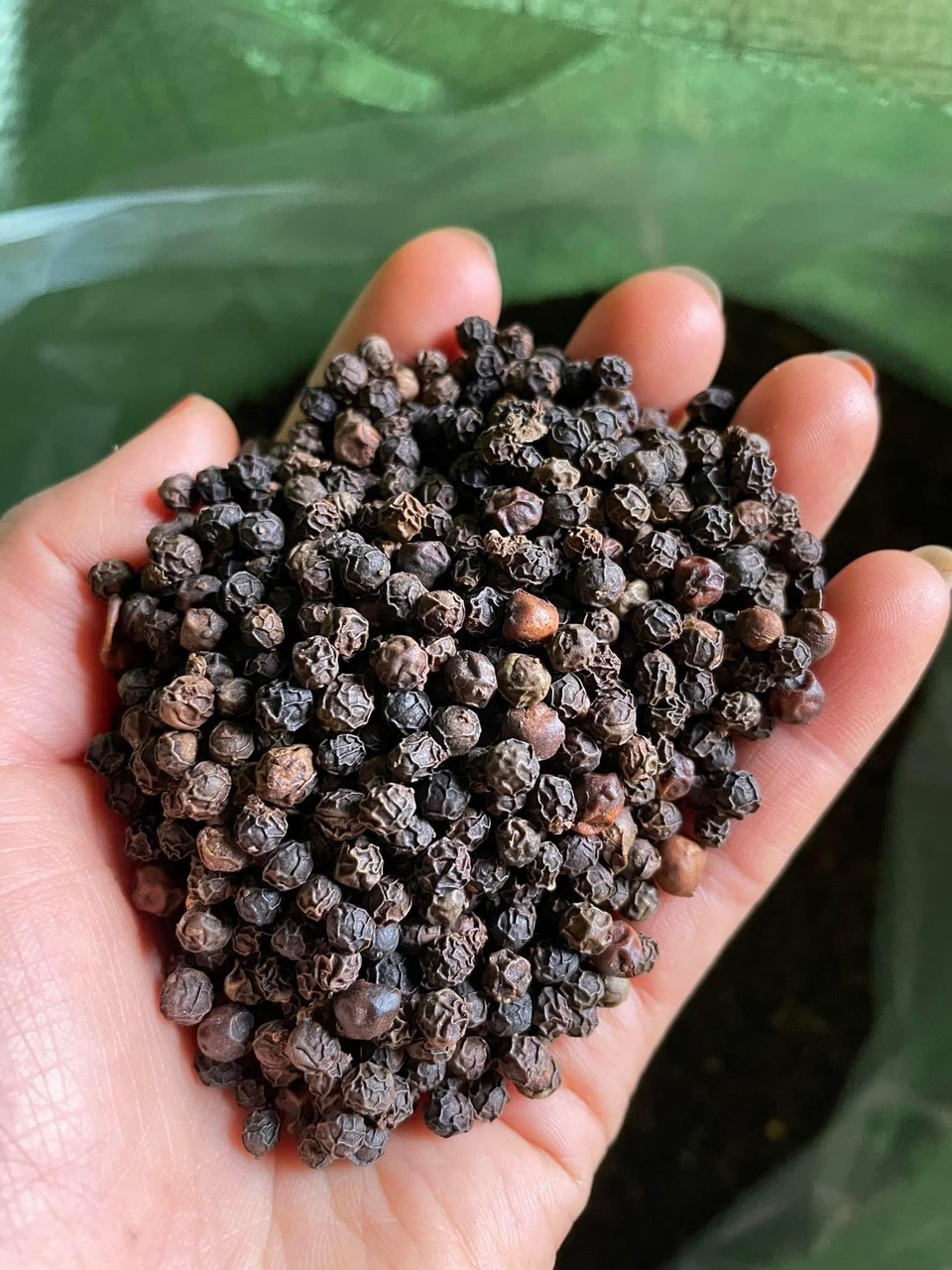 1 kg hạt tiêu loại 1