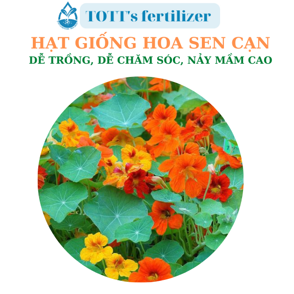 Hạt giống hoa sen cạn nhiều màu dễ nảy mầm dễ trồng TOTT's fertilizer