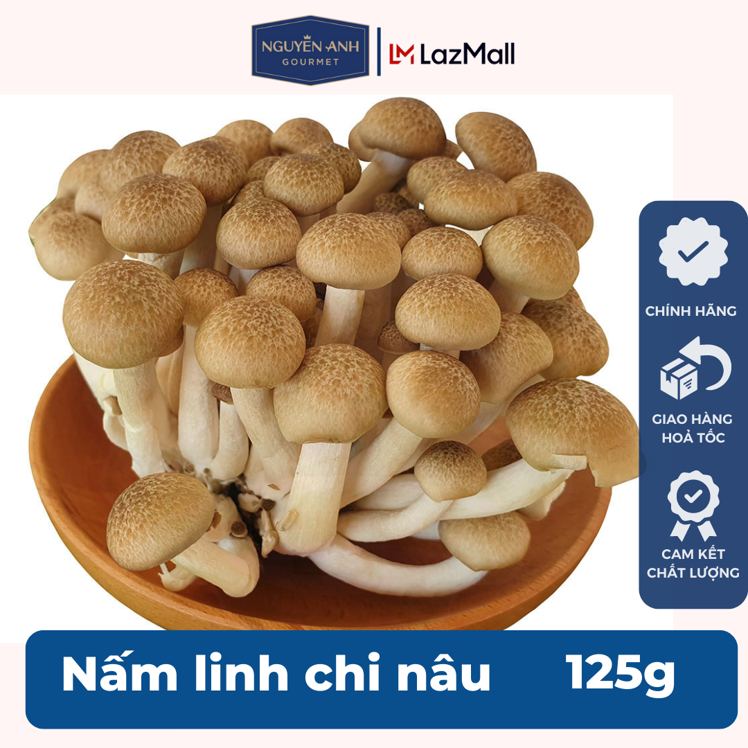Nấm linh chi nâu tươi nông trại Nấm Xanh