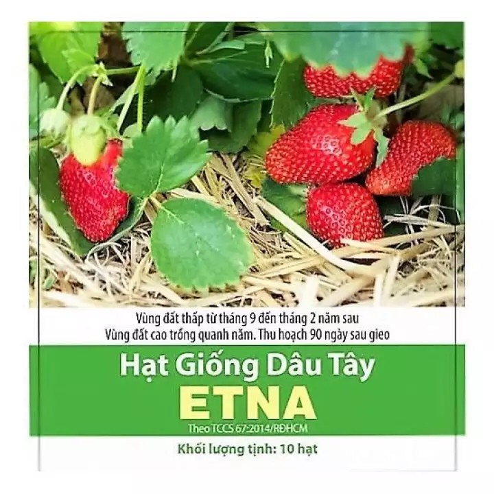Dâu tây Etna