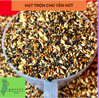 500g Hạt trộn cho chim yến hót