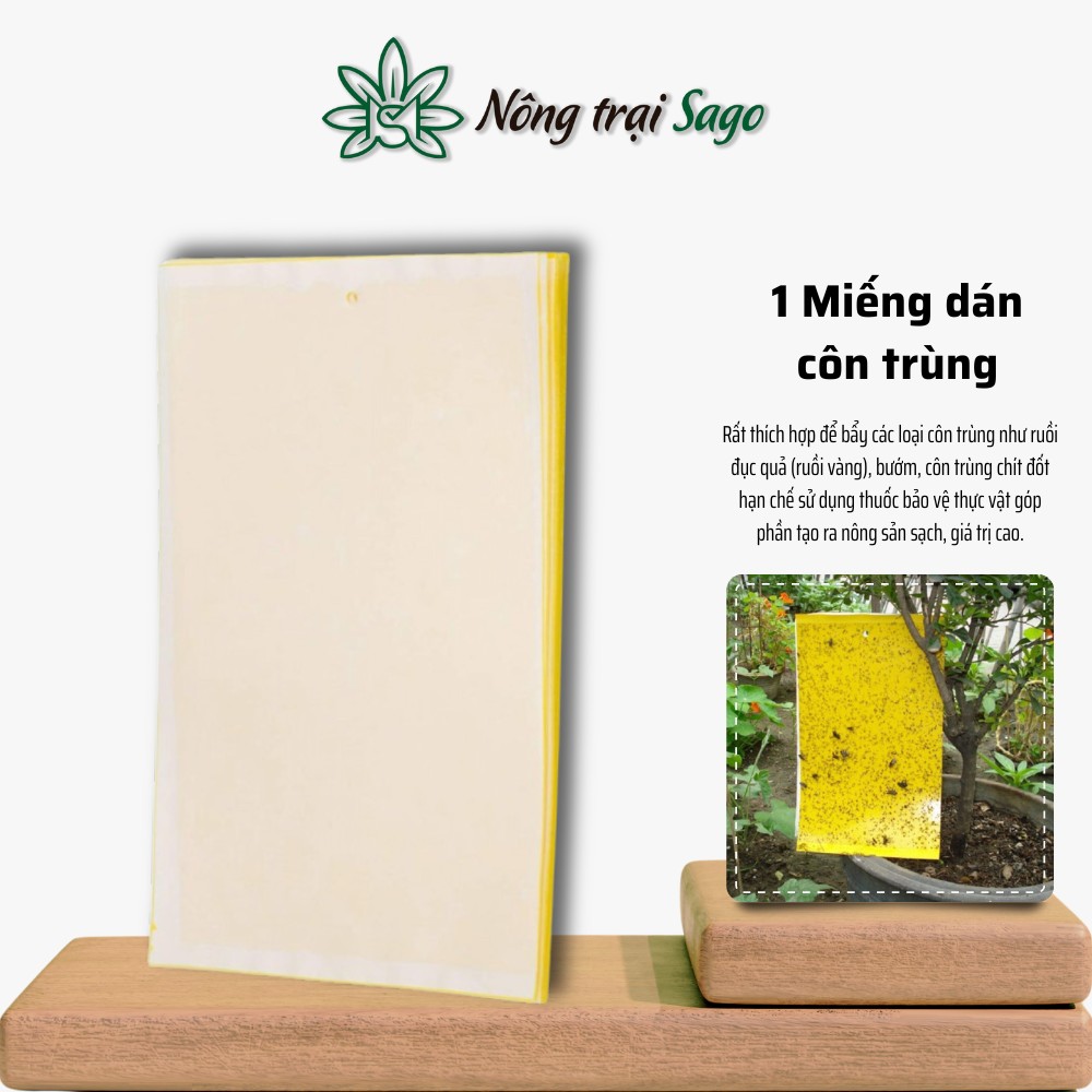 Miếng Dán Ruồi Vàng - Bẫy côn trùng hút chích, bướm, phấn, ruồi, siêu dính, có dẫn dụ - Nông Trại Sago