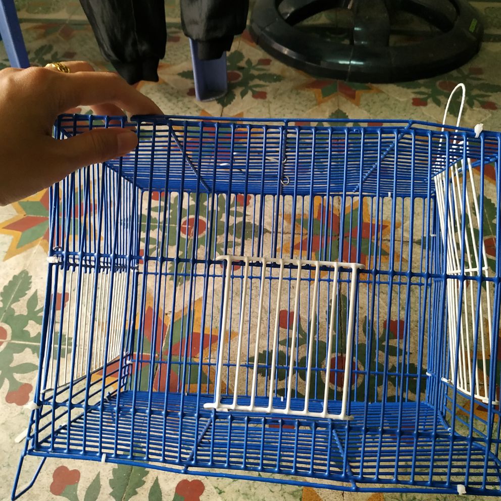 Lồng tắm nhỏ dành cho chim vành khuyên, sâu, yến, v.v.....