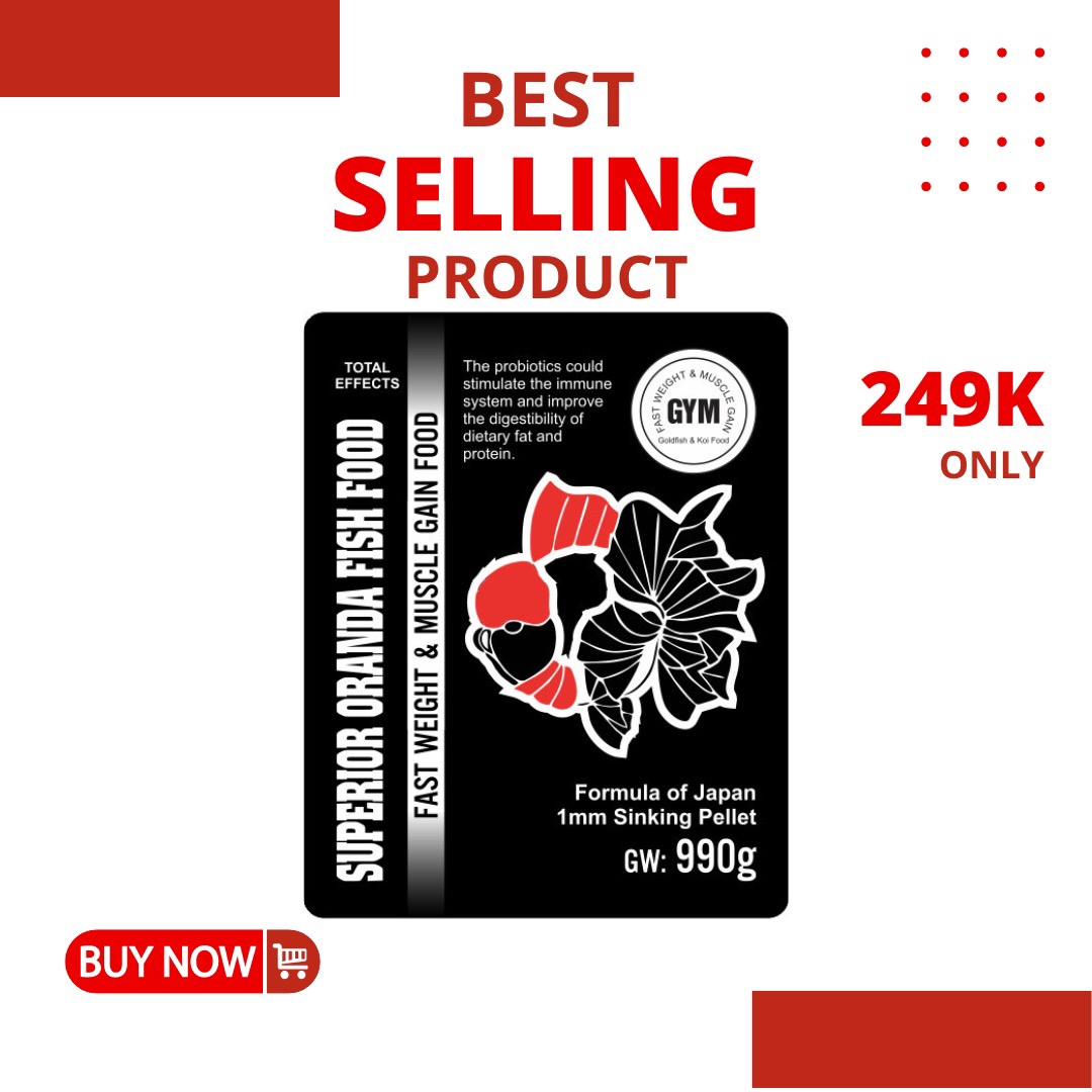 Gym fish pellet - thức ăn cho cá công thức nhật bản thức ăn cho cá vàng oranda kích thước 1mm tăng trưởng nhanh tăng trọng lượng cơ bắp bể cá hồ cá