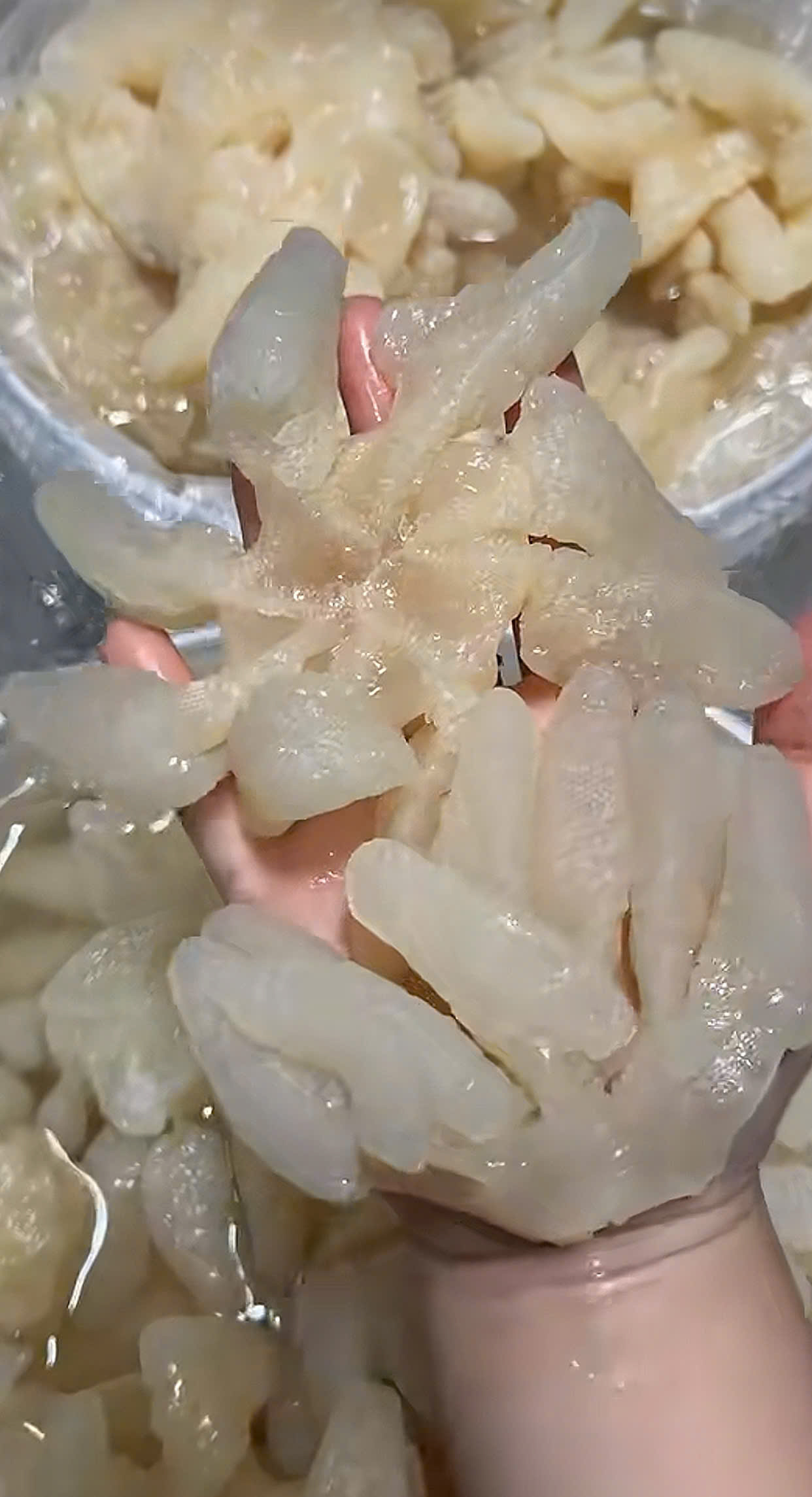 Sứa Rong Biển - Túi 500gr luôn nước 1kg ( giao HCM )