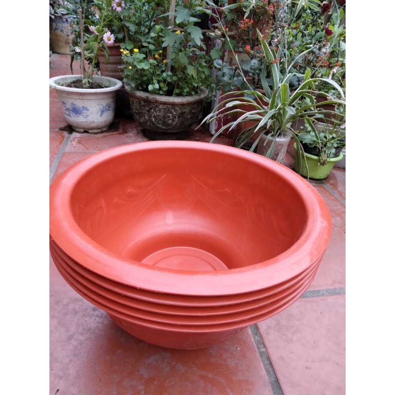 Chậu nhựa không lỗ trồng sen, s úng, cây thủy canh, thủy sinh T38