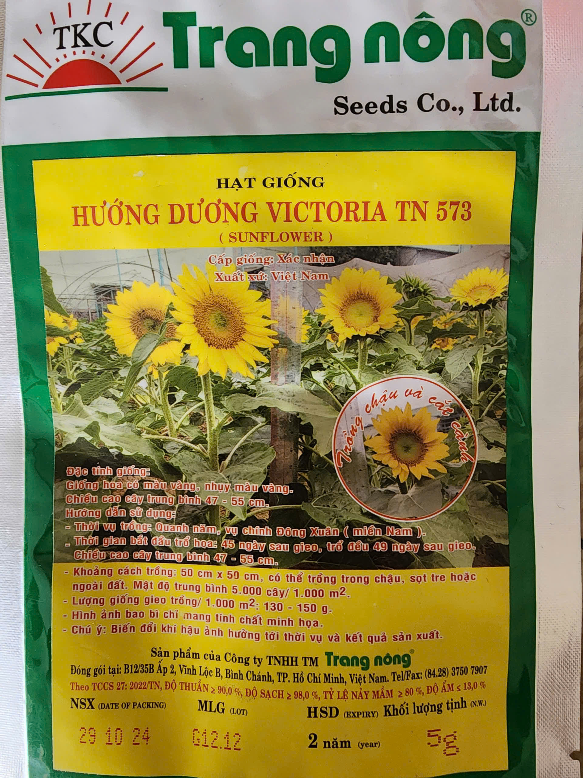Hạt Giống Hướng Dương Victoria TN 573 (Gói 5 Gam)