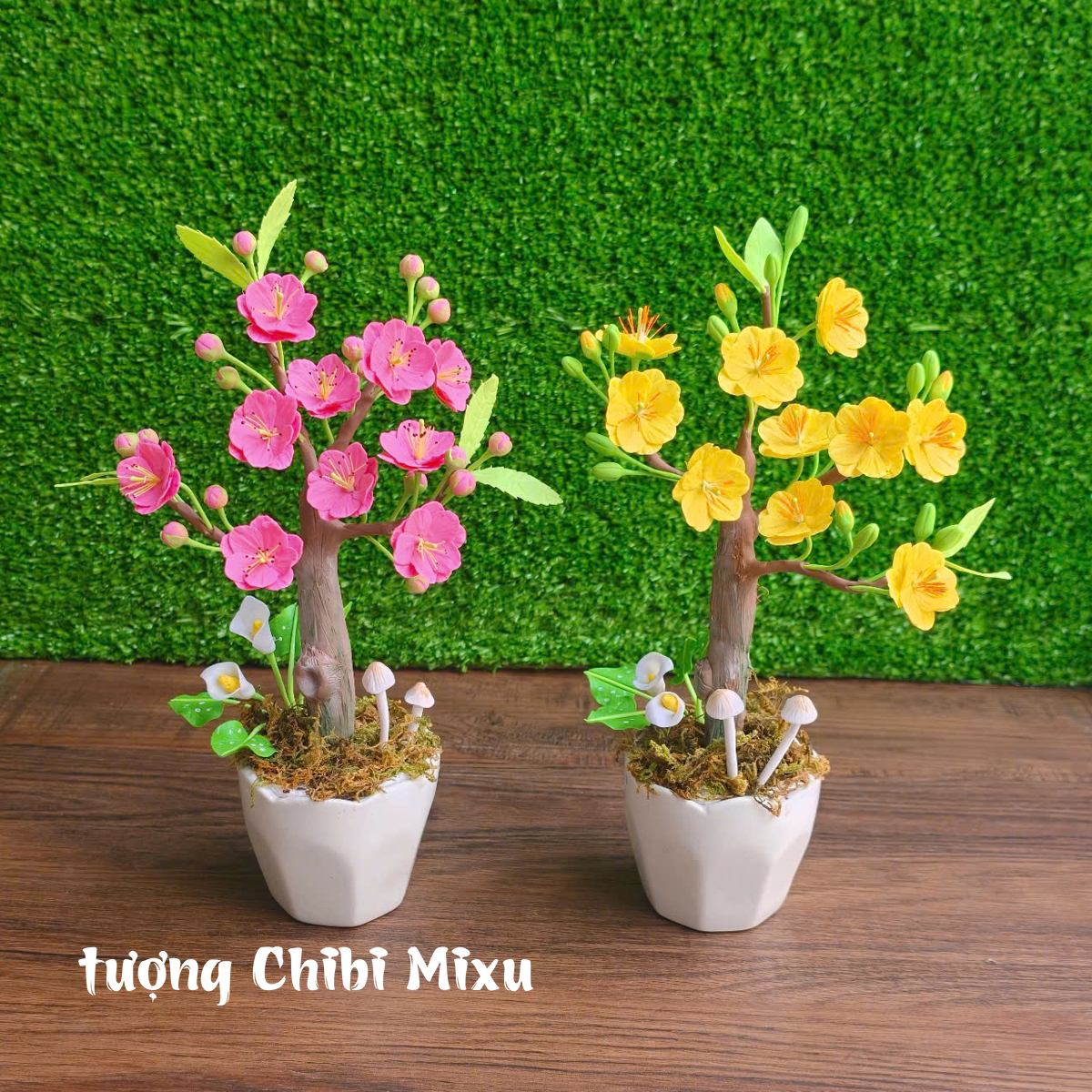 Chậu hoa Mai hoa Đào 10 cánh dáng bonsai cho năm mới may mắn