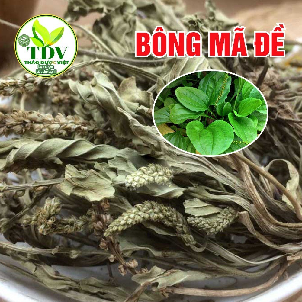 1kg Cây Mã Đề khô nguyên chất giúp thanh nhiệt giải độc, cai thuốc lá