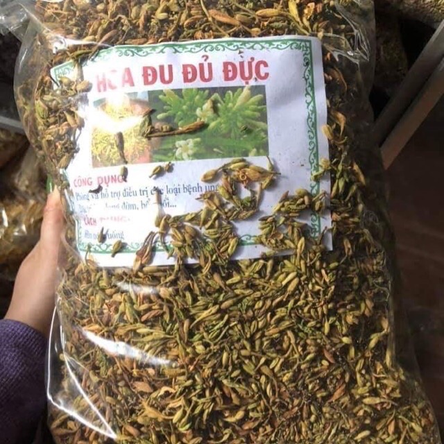 Hoa đu đủ đực 430k/1kg