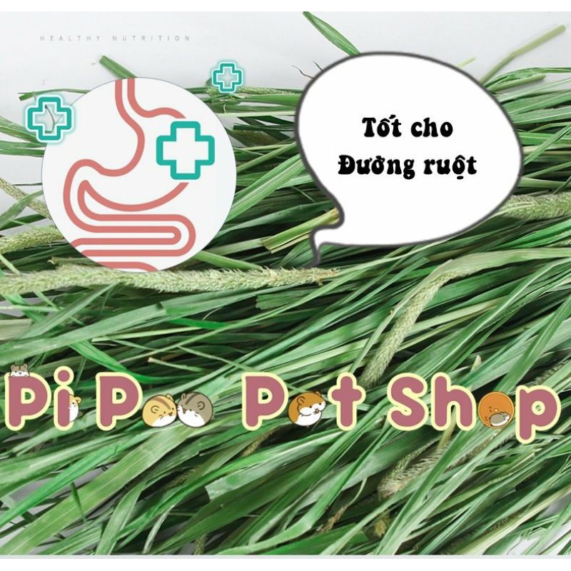 Cỏ khô timothy Jonsanty