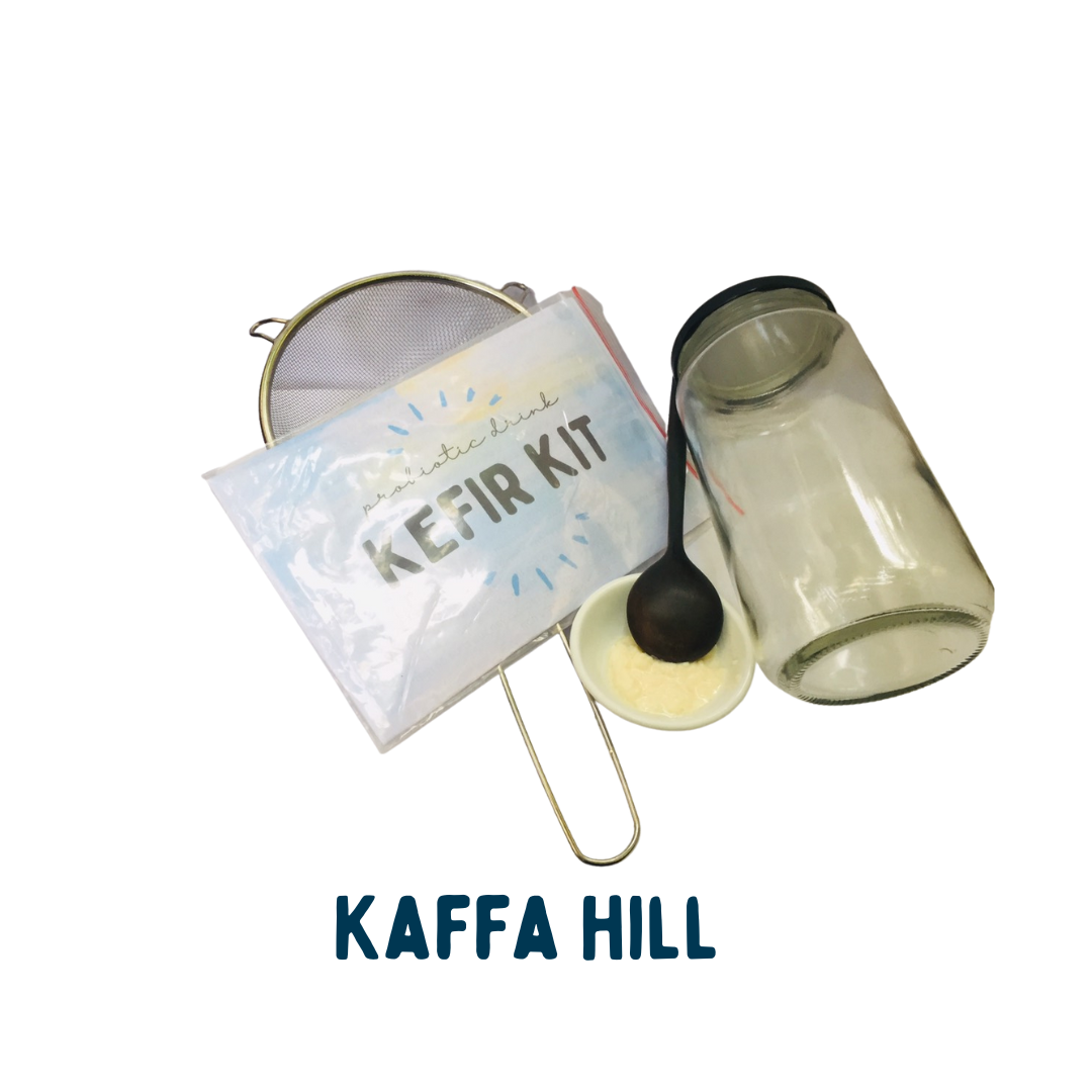 Combo trọn bộ làm sữa chua kefir tại nhà đơn giản - nấm kefir khỏe mạnh - cách làm sữa chua kefir chi tiết - kaffa hill