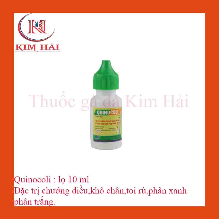QUINOCOLI-Lọ 10ml--chướng diều,khô chân,toi rù,phân xanh phân trắng cho gà tơ,gà con.