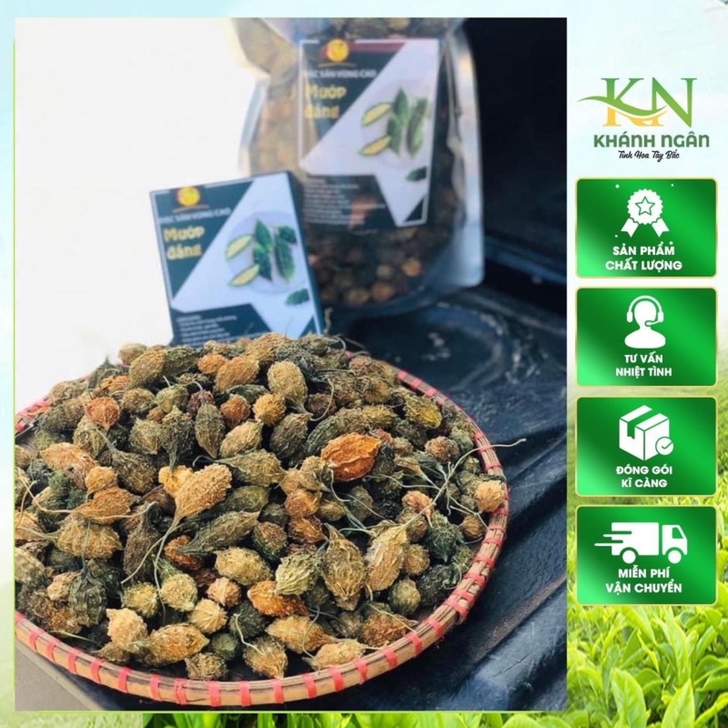 Khổ qua rừng sấy khô nguyên quả thu hái từ rừng giúp ổn định đường huyết, giảm cân, hạ huyết áp