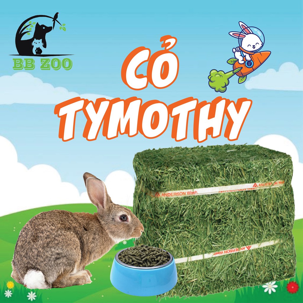 Cỏ khô timothy canada mỹ dành cho thỏ, bọ ,sóc, chinchilla 0.5 kg