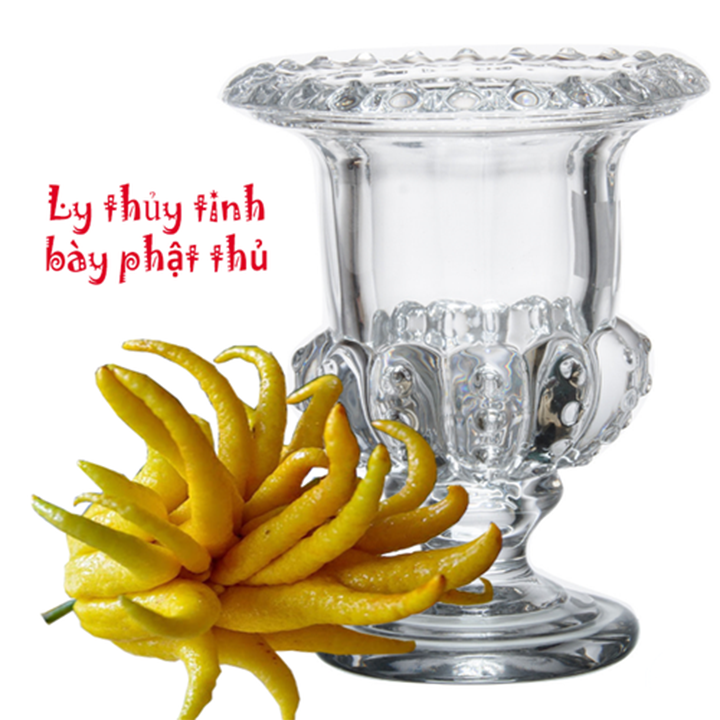 ( HÀNG MỚI VỀ) Ly thủy tinh bầy quả phật thủ, Chén cắm hoa nghệ thuật, Cốc cắm quả trang trí nhà cửa, chất liệu thủy tinh, màu sắc tinh tế.