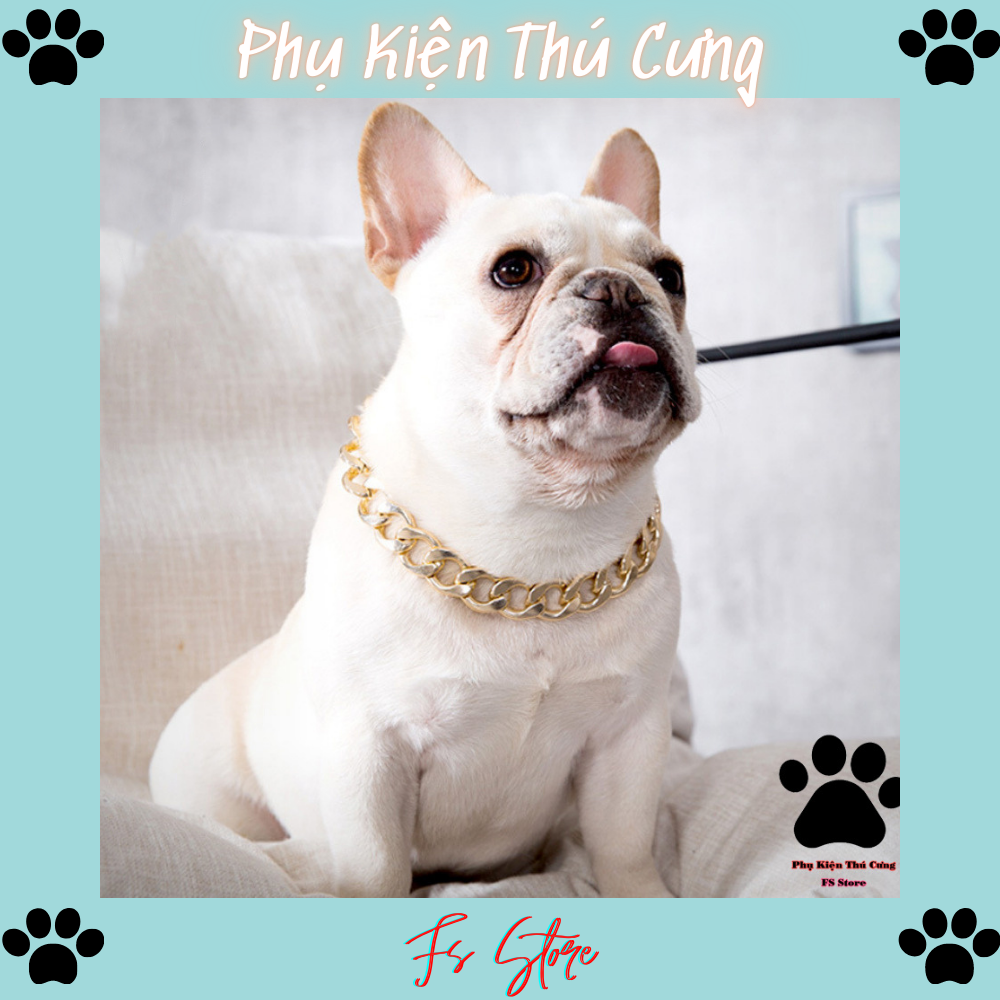Vòng cổ thú cưng, vòng cổ rich kid cho chó mèo, v11