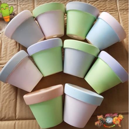 Chậu lớn sơn 2 màu