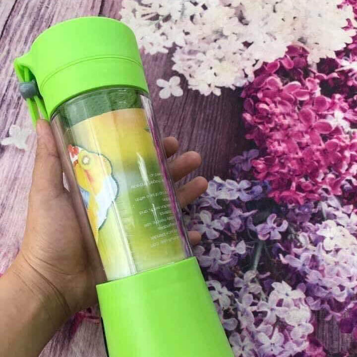 Máy xay sinh tố mini cầm tay