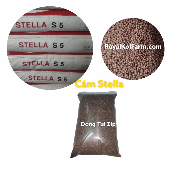 Combo 5Kg Cám Stella S7 Cám Cá Koi