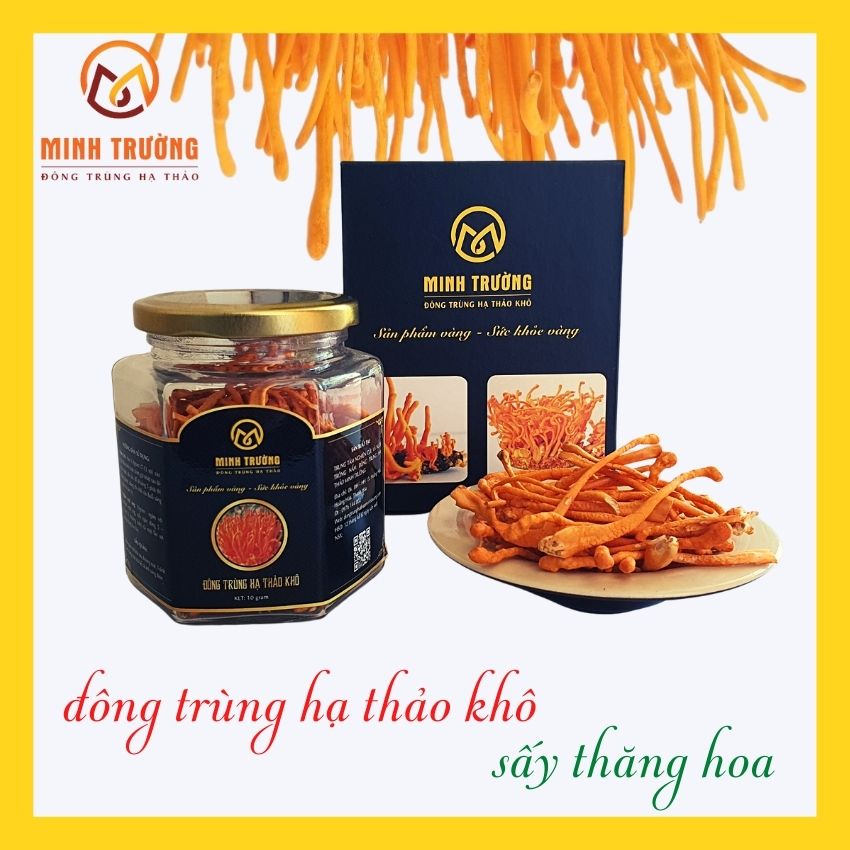 [FREE SHIP][12 gram khô] Đông Trùng Hạ Thảo Khô Sấy Thăng Hoa Minh Trường, loại đặc biệt sấy thăng hoa, cam kết chất lượng, hỗ trợ điều trị ung thư, tiểu đường, huyết áp