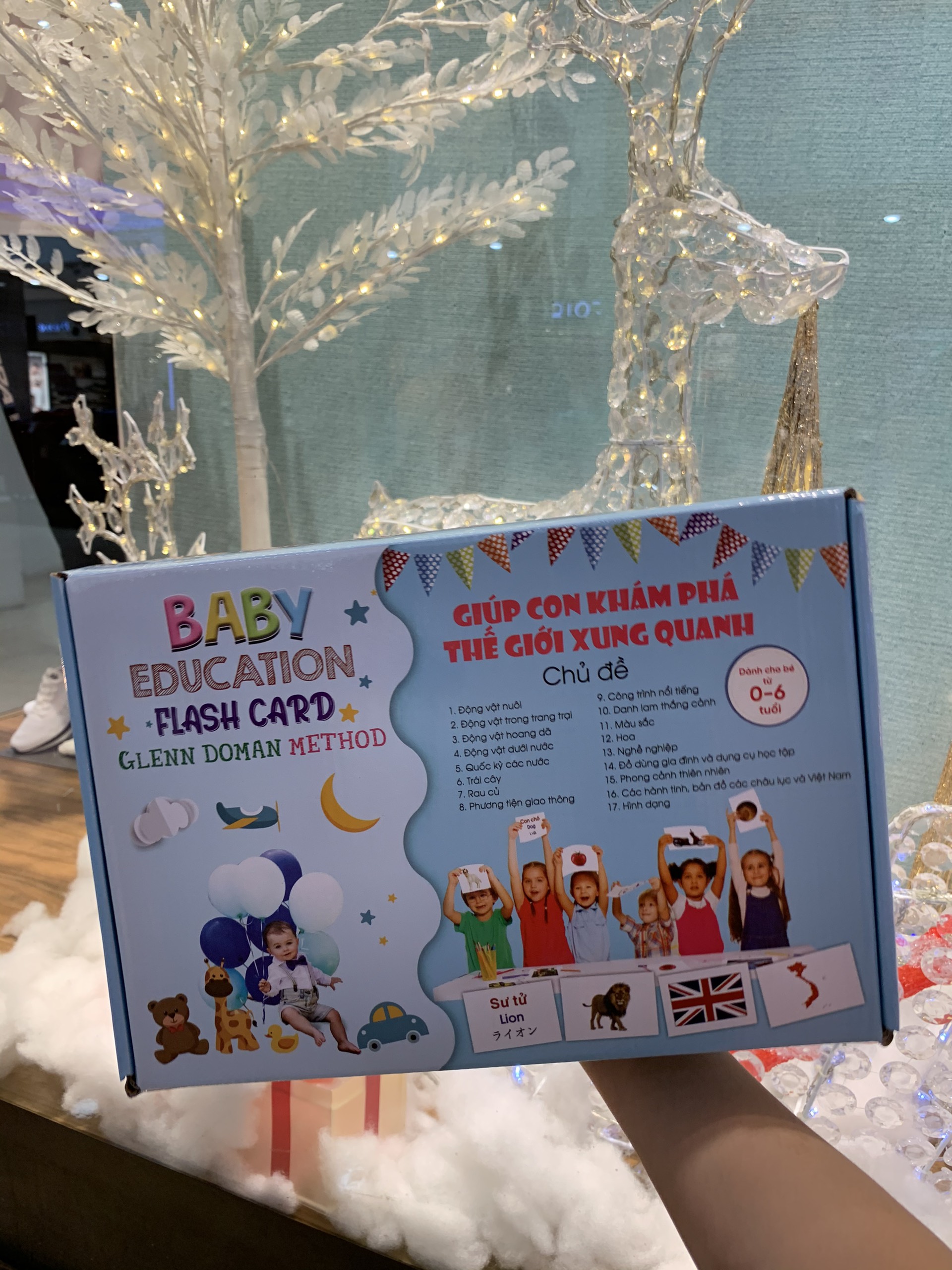 Bộ thẻ học thông minh giúp con khám phá TGXQ Thẻ To KT 15x21cm 17 chủ đề Flashcard Glenn Doman giấy Ivory 350