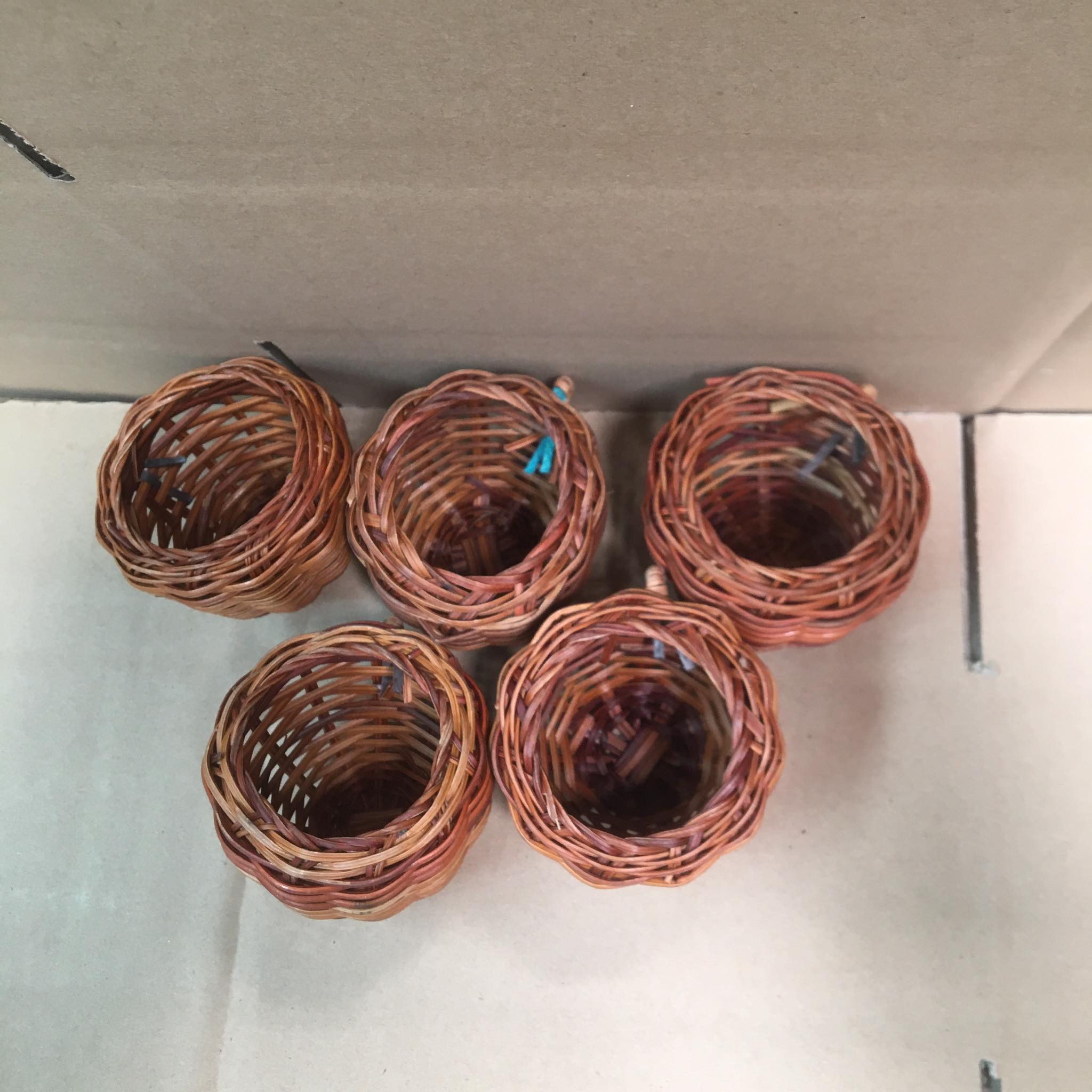 Cóng mây đựng thức ăn dành cho cu gáy x10 cái