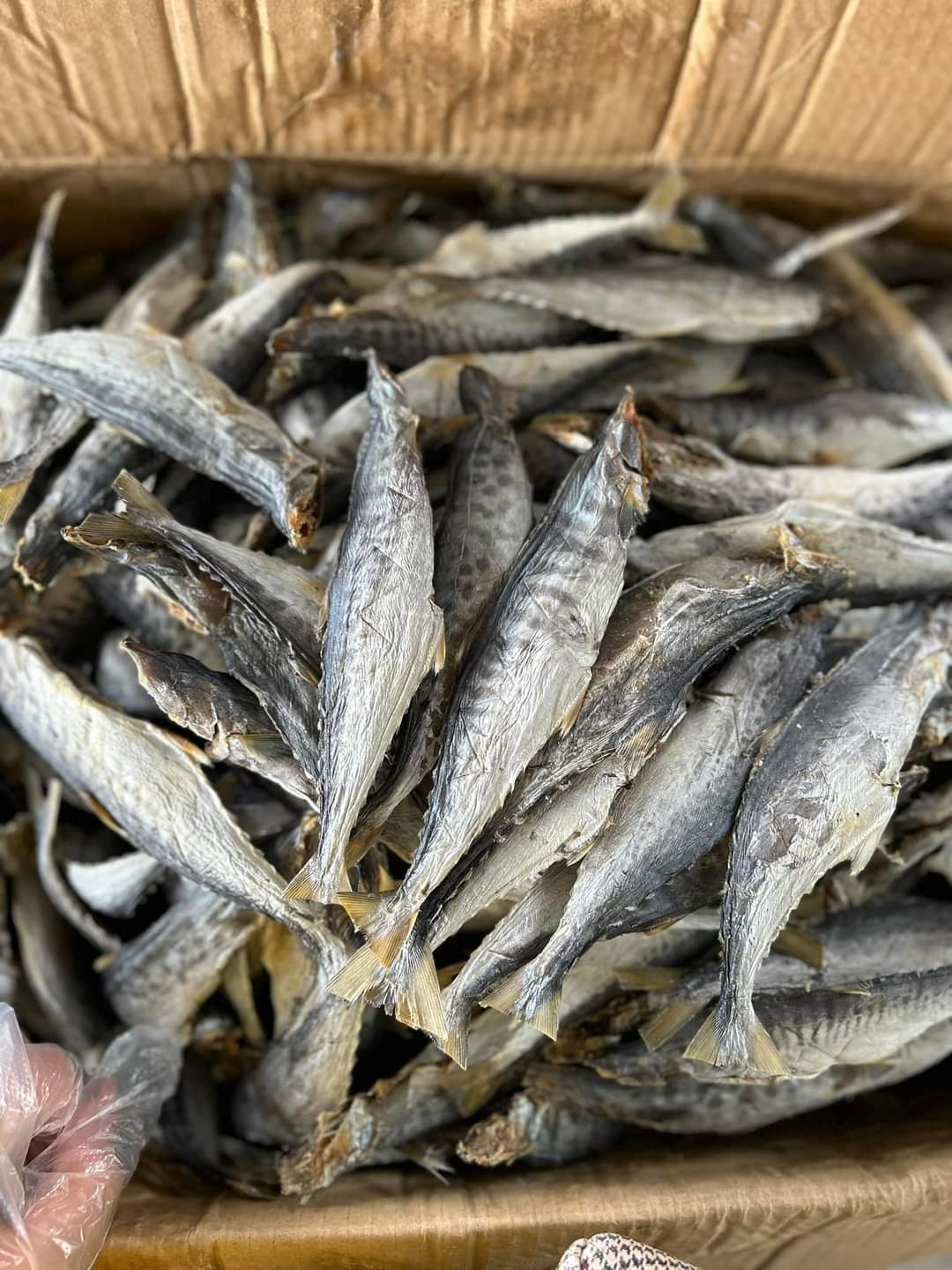 0,5kg cá thu khô thịt dai chắc
