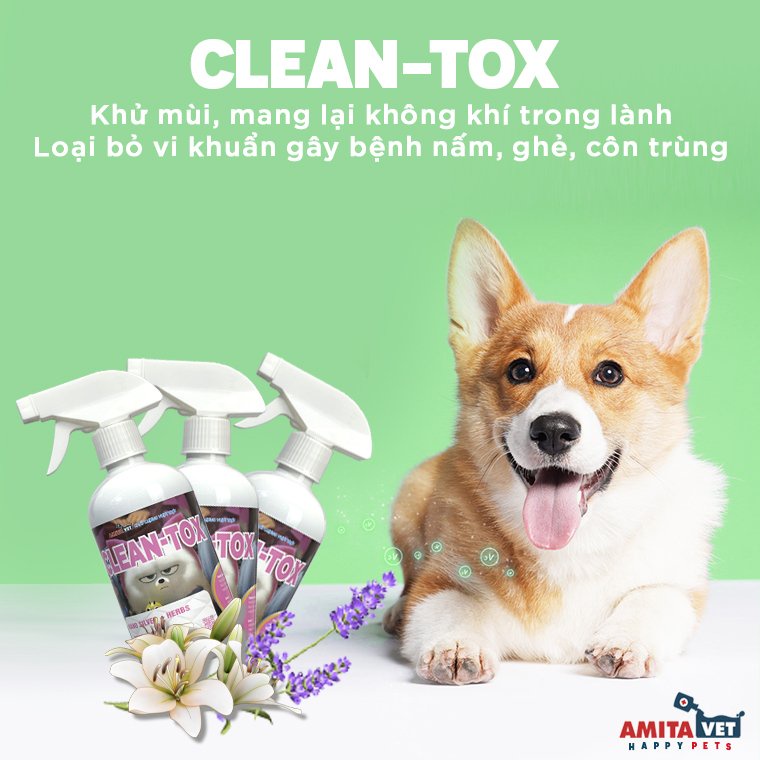 Xịt mùi hôi chó mèo Clean Tox giúp môi trường sạch sẽ thơm mát chai 500ml từ AMITAVET giúp thú cưng khỏe mạnh