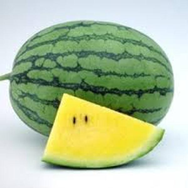 Gói 4Hạt_giống dưa hấu Thái Lan Srichan 1106  .Ruột vàng 4-6kg  .TẶNG GÓI PHÂN TĂNG TRƯỞNG 10G.