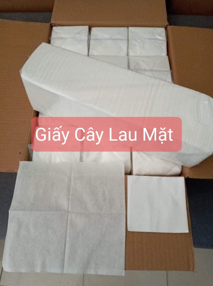 Giấy cây lau mặt siêu dẻo dai cho spa - Bịch 200 miếng