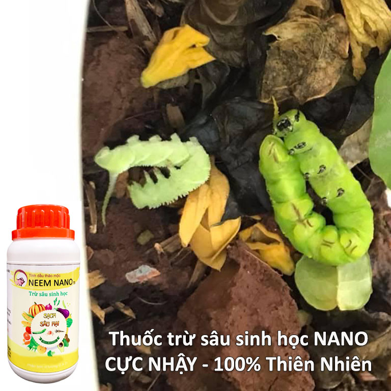  Thuốc trừ sâu sinh học NANO cao cấp - Khỏi lo Sâu bệnh Nhện đỏ Bọ Nhẩy Trĩ Rầy Rệp sáp Côn trùng chích hút - Chuyên dùng cho Nông Nghiệp Sạch 