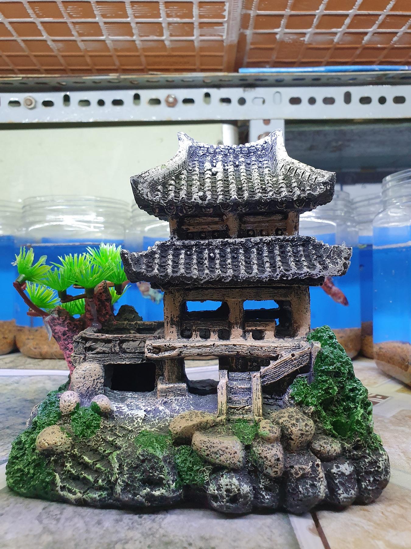 "hoàn tiền đến 10%" cảnh trang trí hồ cá non bộ 15x9x15cm