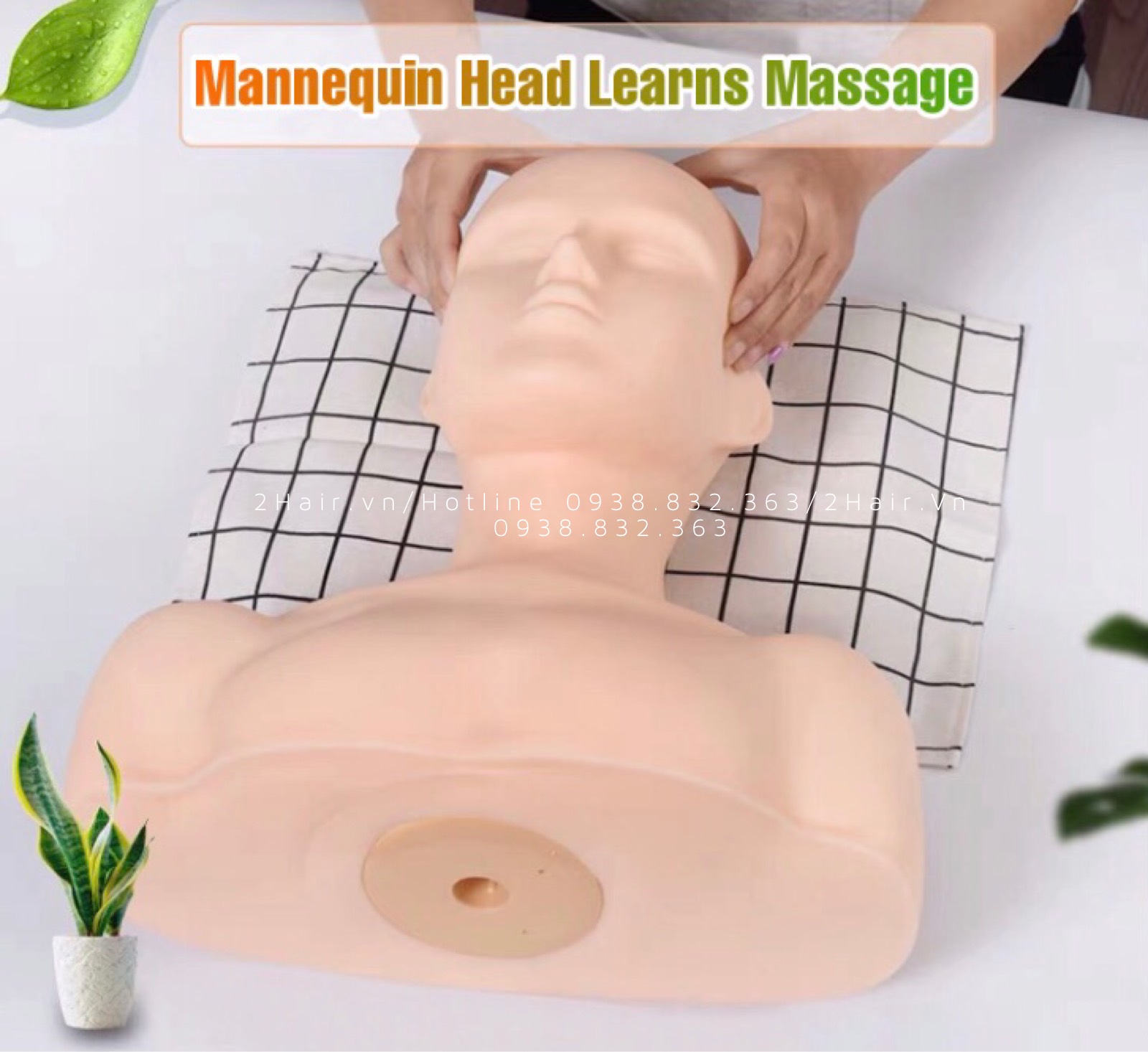 Đầu manocanh có vai học massage 2021