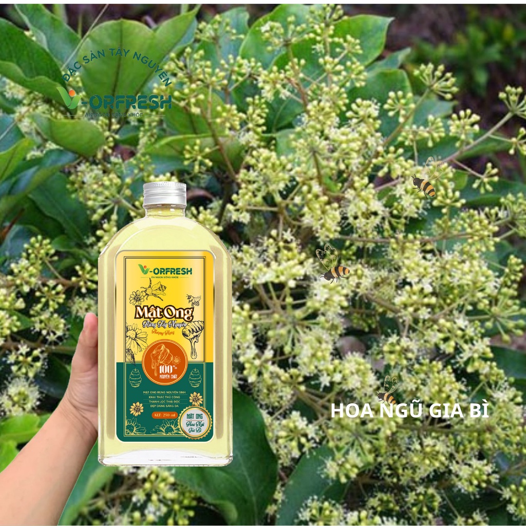 Mật ong hoa ngũ gia bì v-orfresh 250/500/1000ml