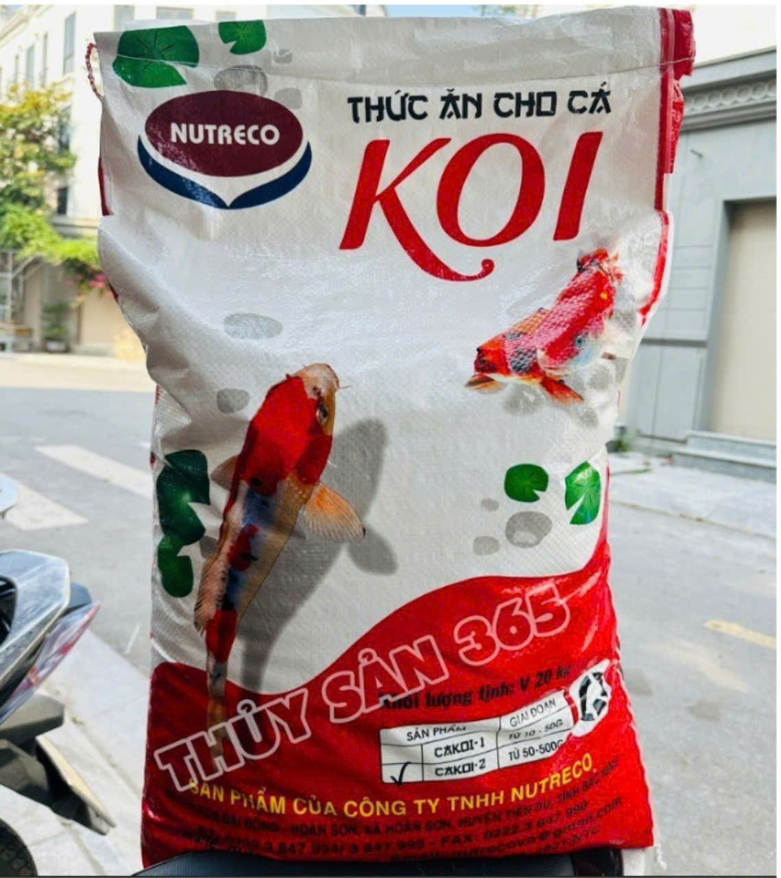 Thức ăn cá KOI PRO 42% đạm Cám cá koi king feed 5KG KING FEED - CÁM NUTRECO