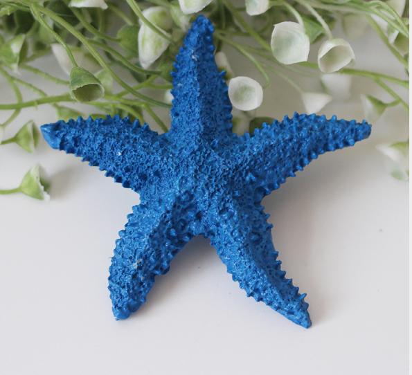 [HCM]2 con Sao biển trang trí đẹp bền