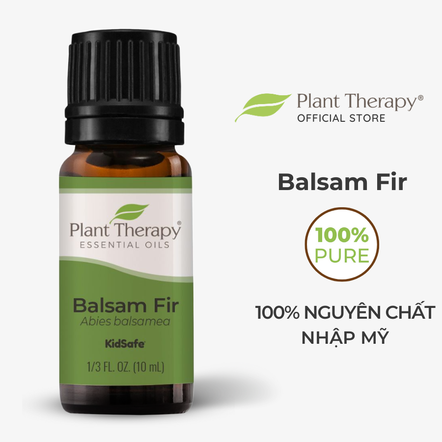 Tinh dầu Lãnh Sam Balsam Fir Plant Therapy - Kidsafe essential oil