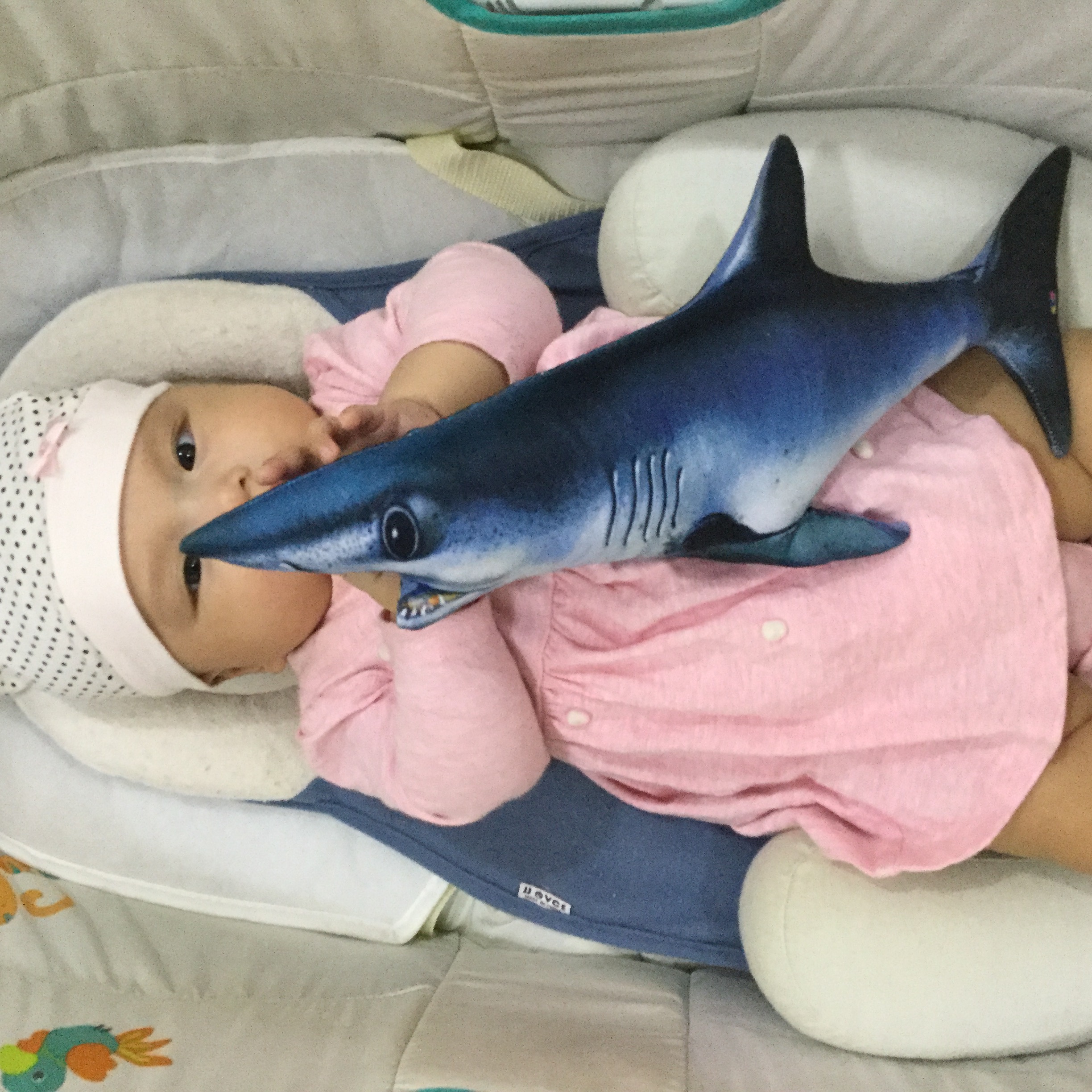 [HCM]Gối ôm 3D cho bé Loại 1  Cá Mập 40cm