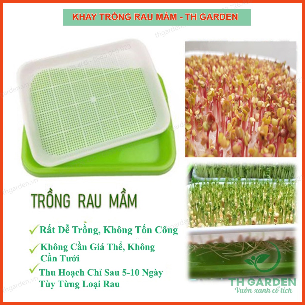 Khay Trồng Rau Mầm Thủy Canh Th Garden - Khay Nhựa Trồng Rau Sạch Thông Minh - Nhựa Nguyên Sinh An Toàn Không Độc Hại P4U