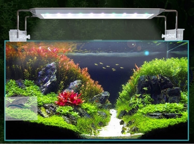 Đèn led aqua blue thế hệ mới smart dee 1200d
