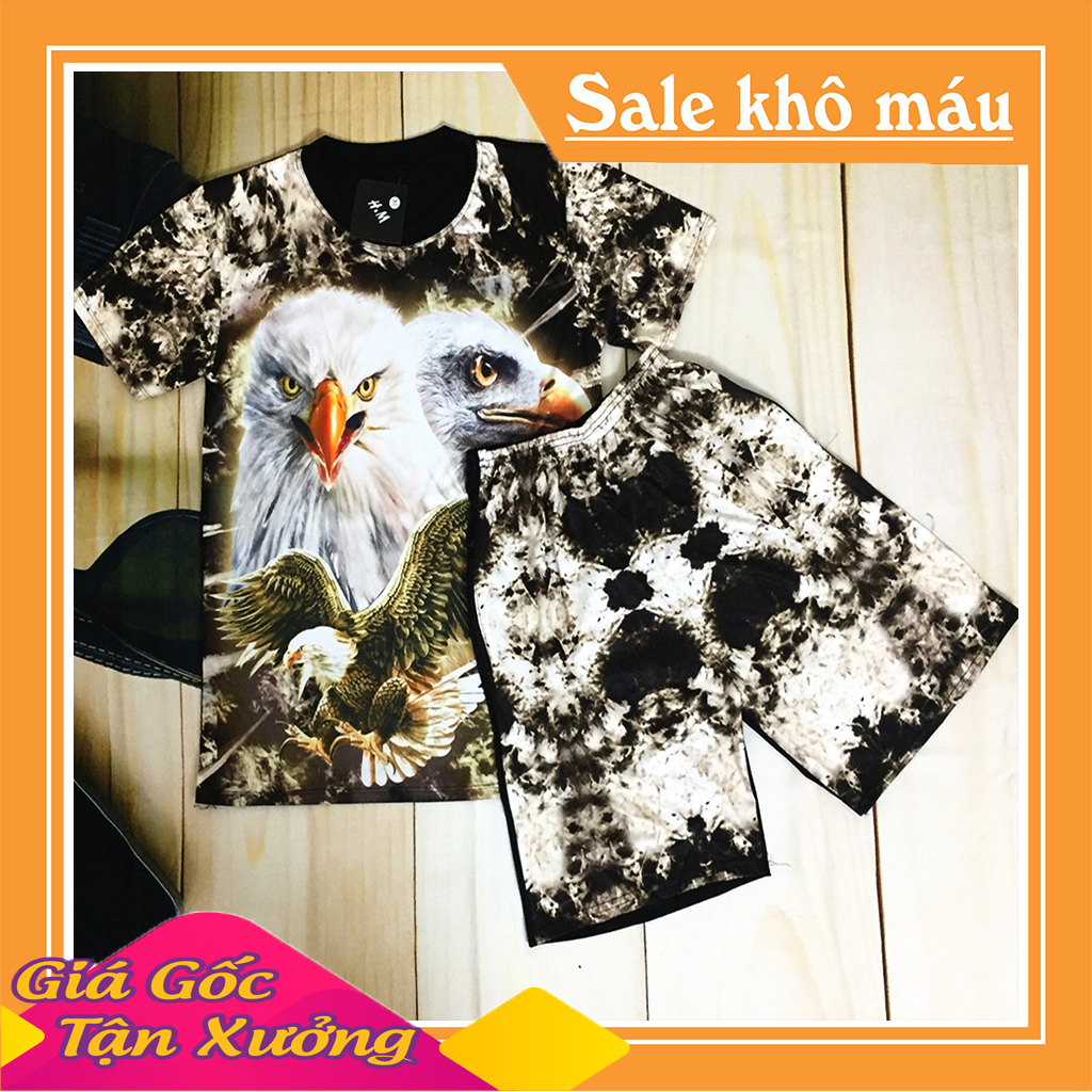 Set Đồ Bộ Quần Áo Thể Thao Nam, Đồ Bộ Mặc Ở Nhà Chất Thun Thể Thao,Bộ Quần Áo Mùa Hè Giá Rẻ ,In HÌnh 3D Đại Bàng-Gs37