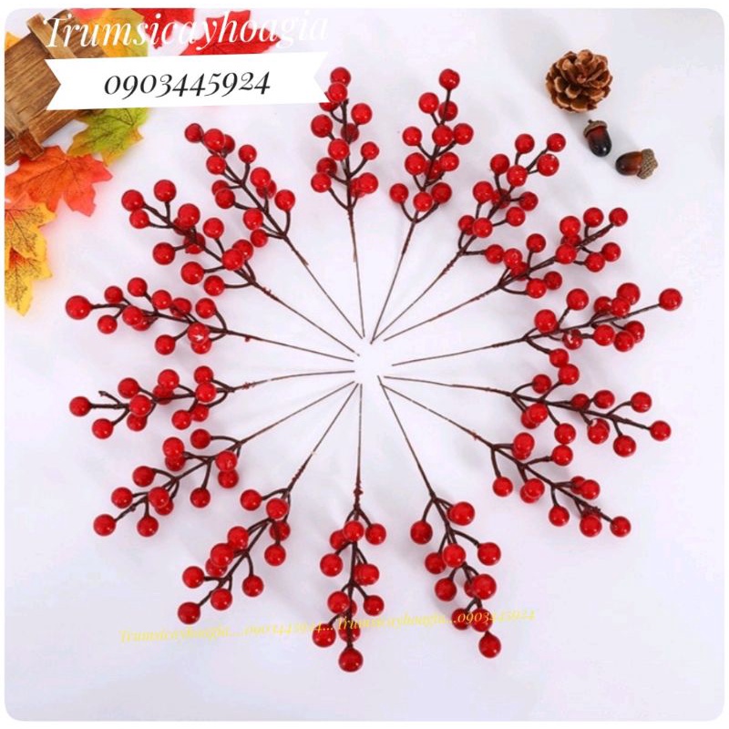 Cành quả cherry, cành đào đông đỏ trang trí Tết, noel vòng nguyệt quế